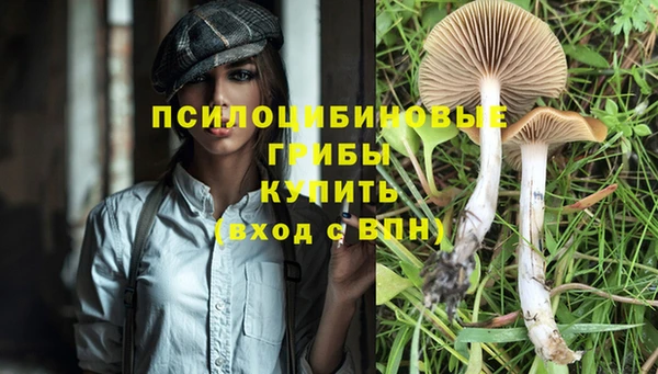 прущие крисы Балахна