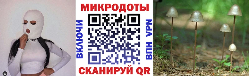 ОМГ ОМГ вход  где купить наркотик  Спасск  Псилоцибиновые грибы Magic Shrooms 